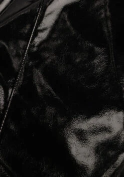 Schwarze Alix The Label Hose Lacquer Pants -Minus Verkaufsgeschäft 239595 6